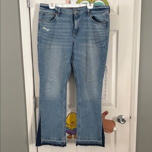 American Eagle Outfitters Blue Flare Jeans